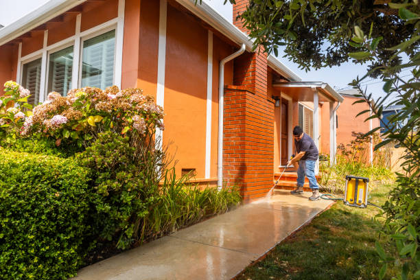 Best Local Pressure Washing Services  in Thorsby, AL